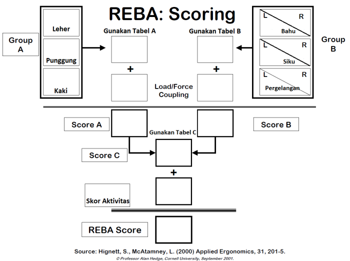 Summary REBA